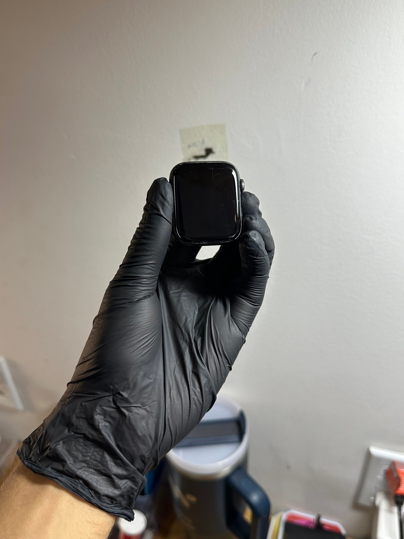 Apple Watch depois